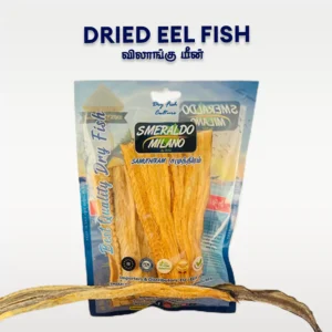 Dried Eel Fish